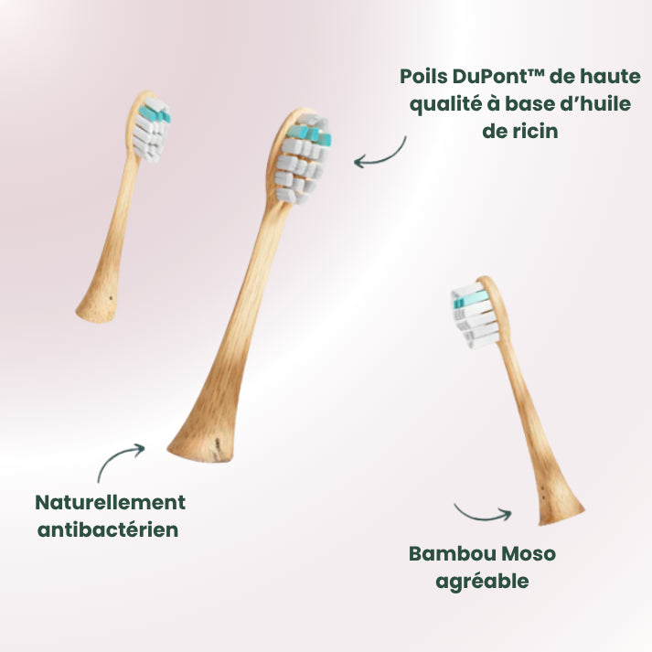 Bamboo Brush | Brosse à dents sonique robuste et durable