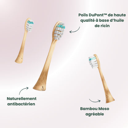 Bamboo Brush | Brosse à dents sonique robuste et durable