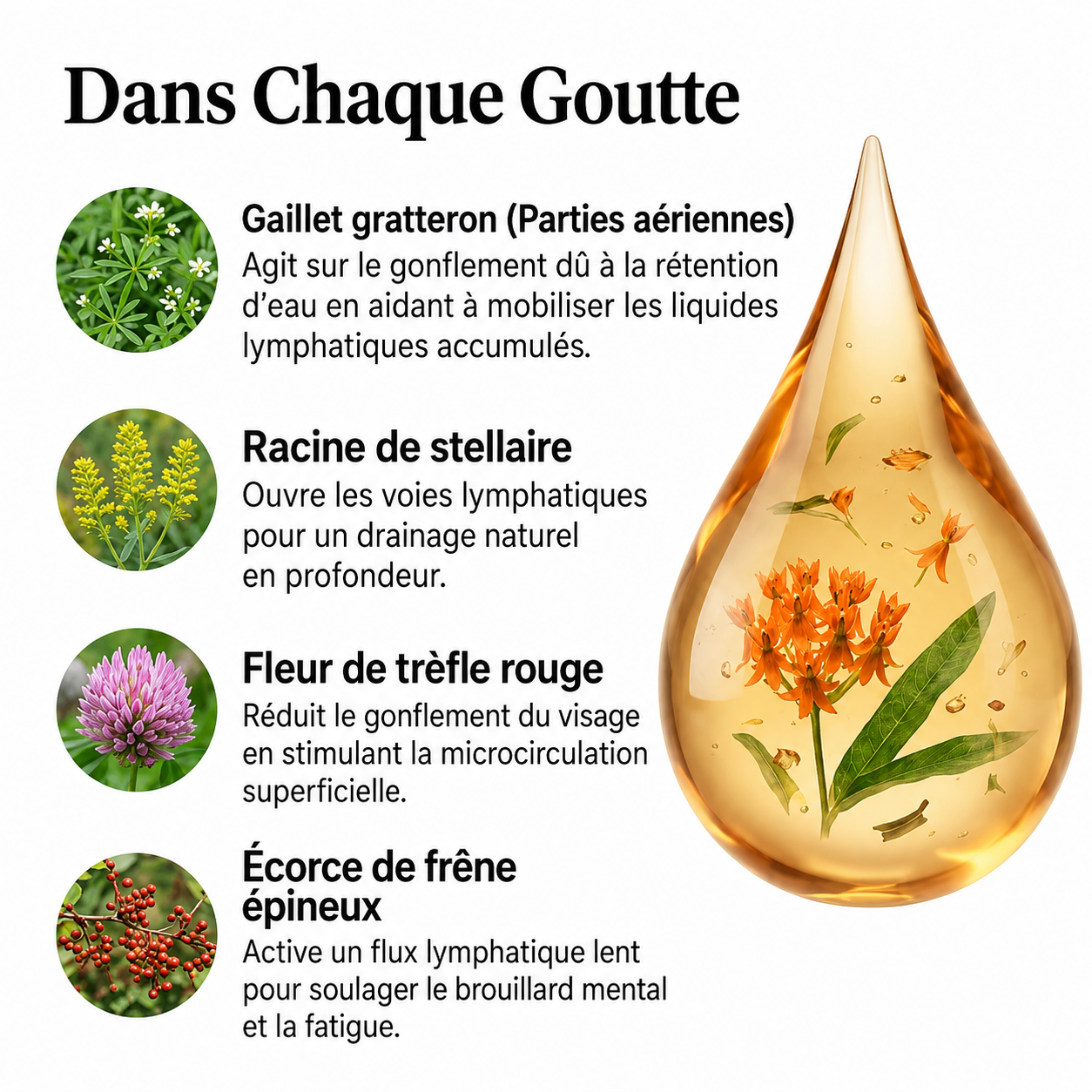 Drainova - Gouttes bien-être drainage lymphatique